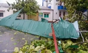 Ba người chết, hơn 6.800 nhà tốc mái do bão Kajiki