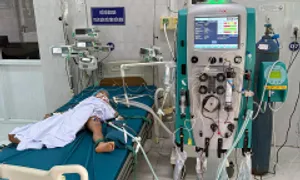Hai người tử vong do ong vò vẽ đốt
