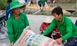 Thủ tướng yêu cầu tăng tín dụng, mở rộng thị trường xuất khẩu gạo