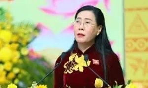 Bà Bùi Thị Quỳnh Vân làm Bí thư Quảng Ngãi