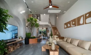 Biến nhà phố hướng Tây thành 'ốc đảo' xanh mát Biến nhà phố hướng Tây thành 'ốc đảo' xanh mát