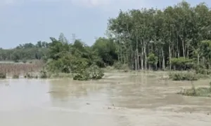 Cụ bà ở TP HCM bị lũ cuốn tử vong Cụ bà ở TP HCM bị lũ cuốn tử vong